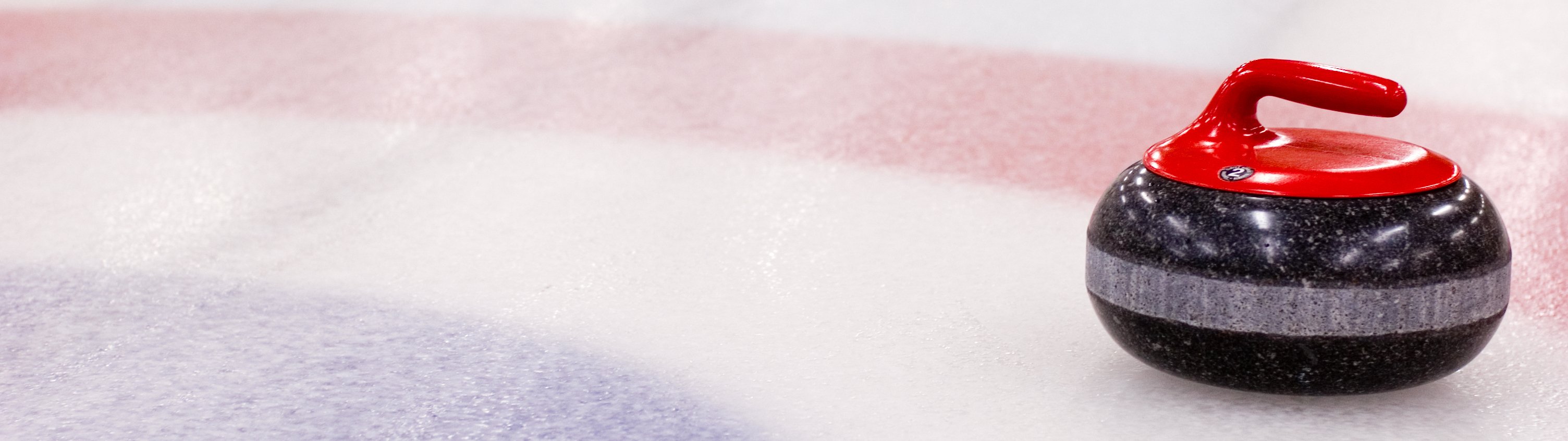 A curling rock is seen here.