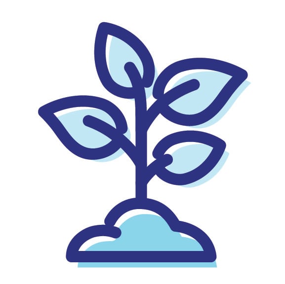 An icon of a plant sprounting.